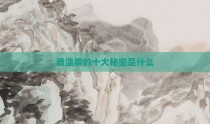 最温柔的十大秘密是什么