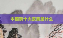 中国前十大政策是什么