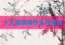十大慢病有什么补贴的