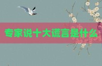 专家说十大谎言是什么