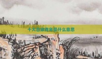 十大台球青年是什么意思