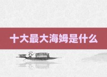 十大最大海姆是什么