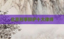 北京刑事辩护十大律师