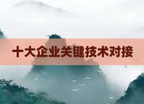 十大企业关键技术对接