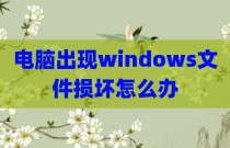 电脑出现windows文件损坏怎么办