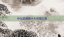 什么是湘阴十大引领工程