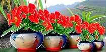 石斛是十大仙草吗为什么