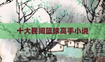 十大民间篮球高手小说