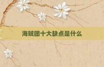 海贼团十大缺点是什么