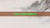 人间十大仙树分别是什么