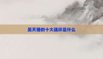 昊天锤的十大魂环是什么