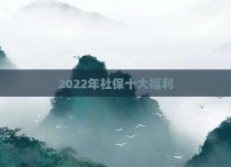 2022年社保十大福利