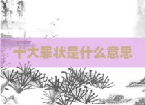 十大罪状是什么意思