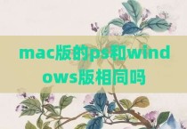 mac版的ps和windows版相同吗