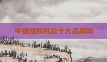 中捷缝纫机是十大品牌吗