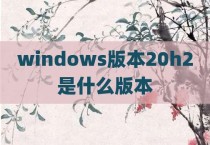windows版本20h2是什么版本