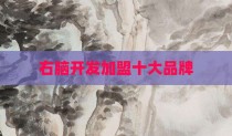 右脑开发加盟十大品牌