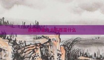 养猫必备十大东西是什么