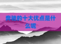 奔驰的十大优点是什么呢