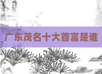 广东茂名十大首富是谁