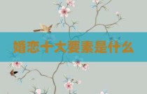 婚恋十大要素是什么