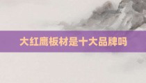 大红鹰板材是十大品牌吗
