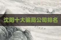 沈阳十大骗局公司排名