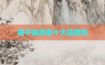扬子品牌是十大品牌吗