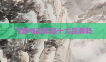 飞野电动车是十大品牌吗