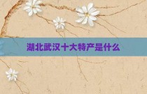 湖北武汉十大特产是什么