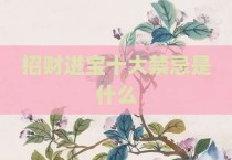 招财进宝十大禁忌是什么