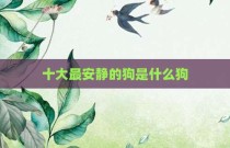十大最安静的狗是什么狗