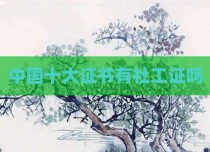 中国十大证书有社工证吗