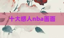 十大感人nba画面