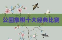 公园象棋十大经典比赛