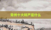 青州十大特产是什么