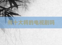 有十大将的电视剧吗