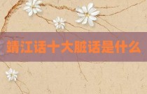 靖江话十大脏话是什么