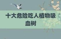 十大危险吃人植物吸血树