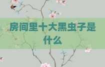 房间里十大黑虫子是什么