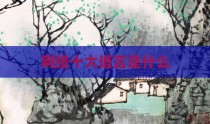 网络十大语言是什么