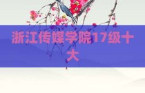 浙江传媒学院17级十大