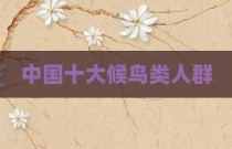 中国十大候鸟类人群