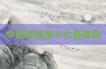 中国洁具是十大品牌吗