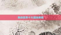 我的世界十大孤独瞬间