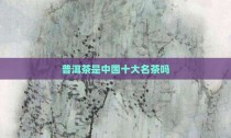 普洱茶是中国十大名茶吗