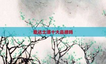 意达士漆十大品牌吗