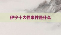 伊宁十大怪事件是什么