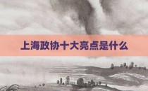 上海政协十大亮点是什么