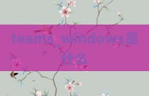 teams_windows是什么